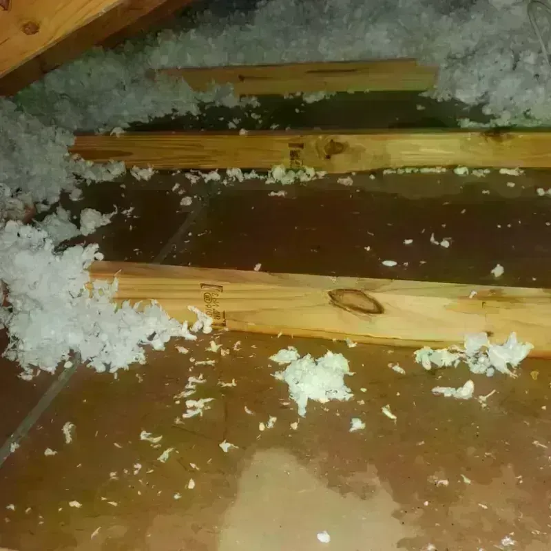 Attic Water Damage in Norwalk, OH