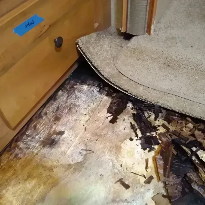 Wood Floor Water Damage in Norwalk, OH